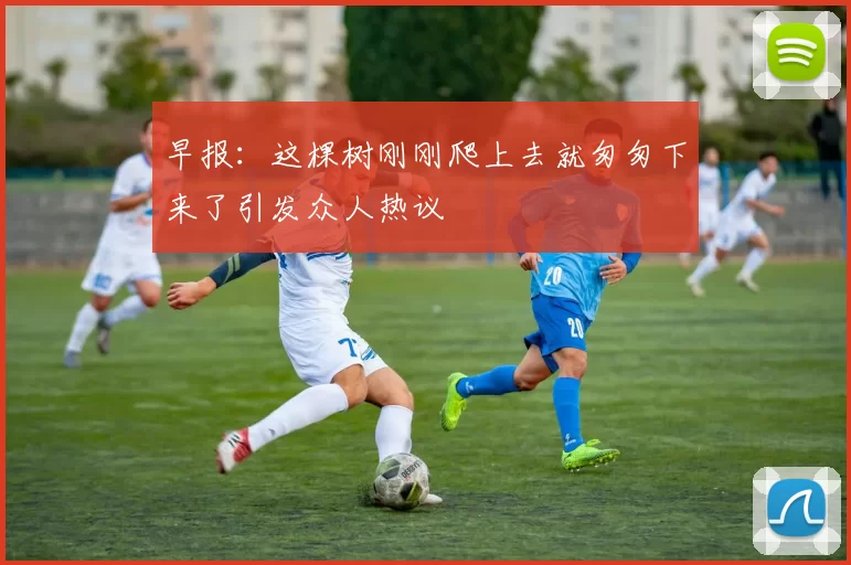 早报：这棵树刚刚爬上去就匆匆下来了引发众人热议