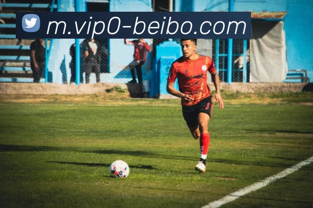 贝博体育APP 封面图